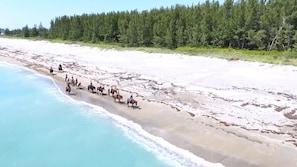 Tæt på stranden, liggestole, badehåndklæder