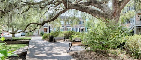 Property grounds
