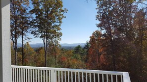 Property grounds - Peaceful Mountain Home. Near Downtown Asheville. Best Views. All New Everything! (Weaverville)