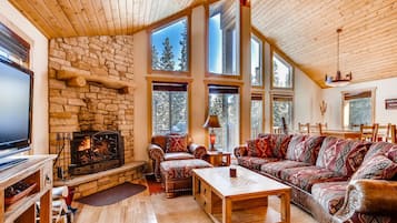 TV, fireplace, DVD player, books