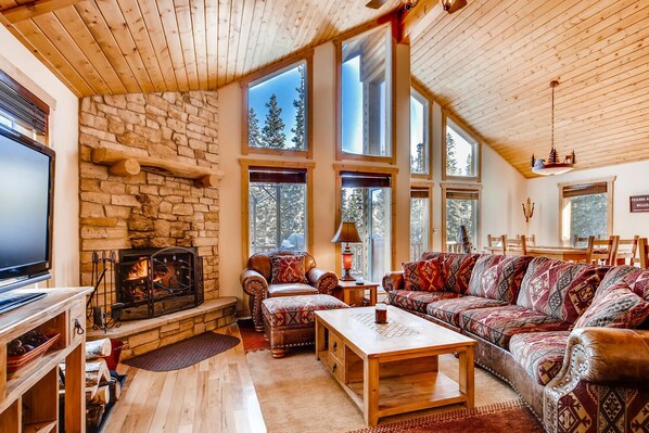 电视、壁炉、DVD 播放器、书