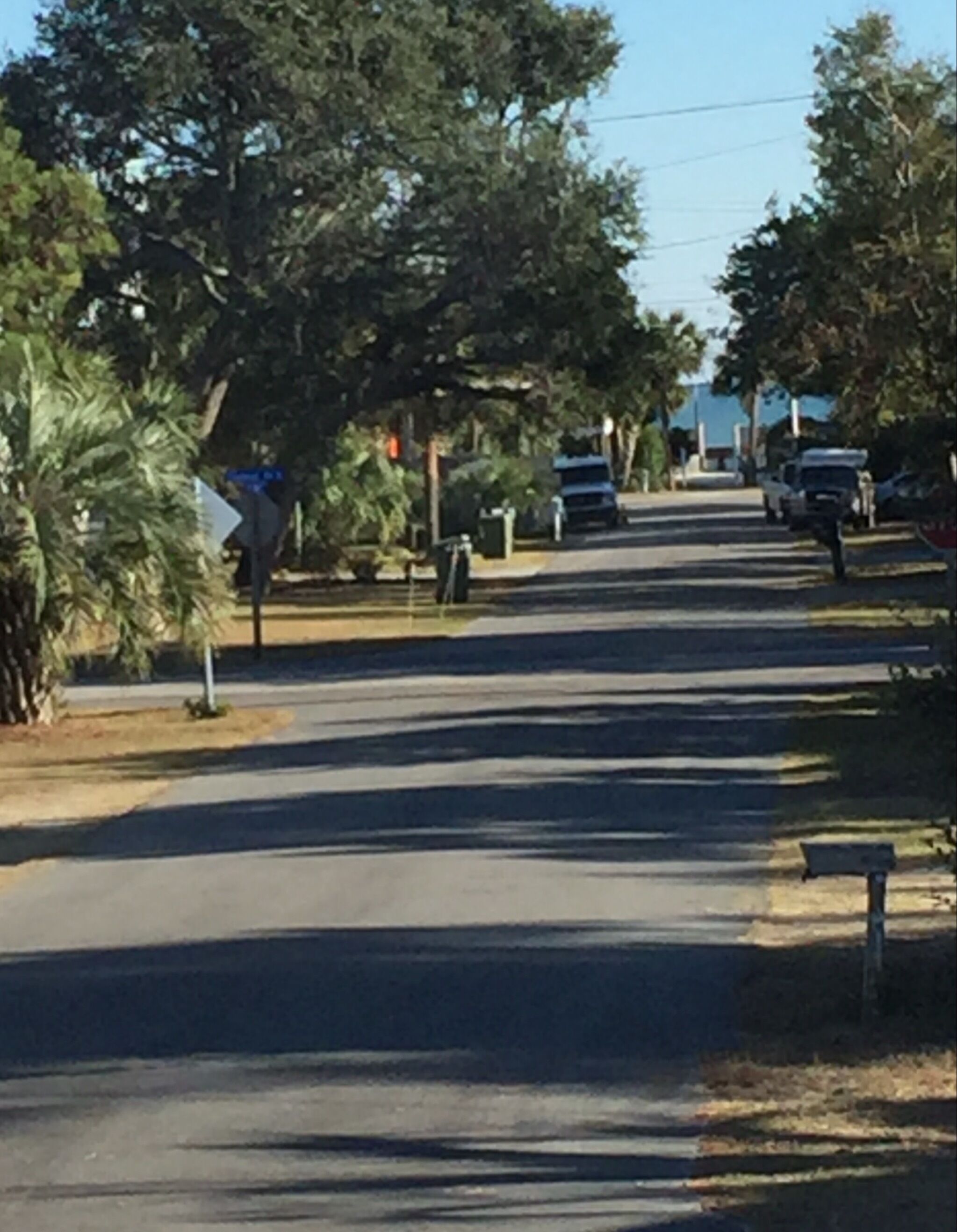 A street lined with trees and parked cars.