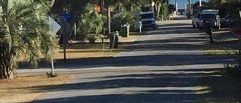 A street lined with trees and parked cars.