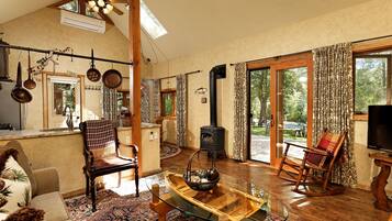 TV, fireplace, books