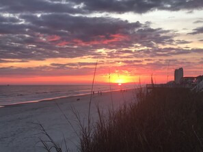 Enjoy a serene beachside stroll along the boardwalk, taking in the tranquil ocean views.