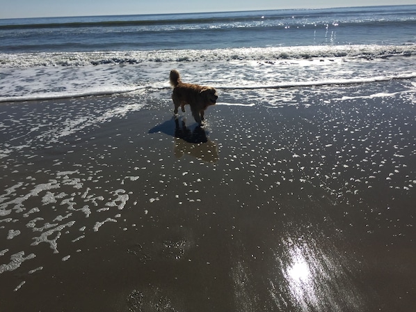 Plage à proximité