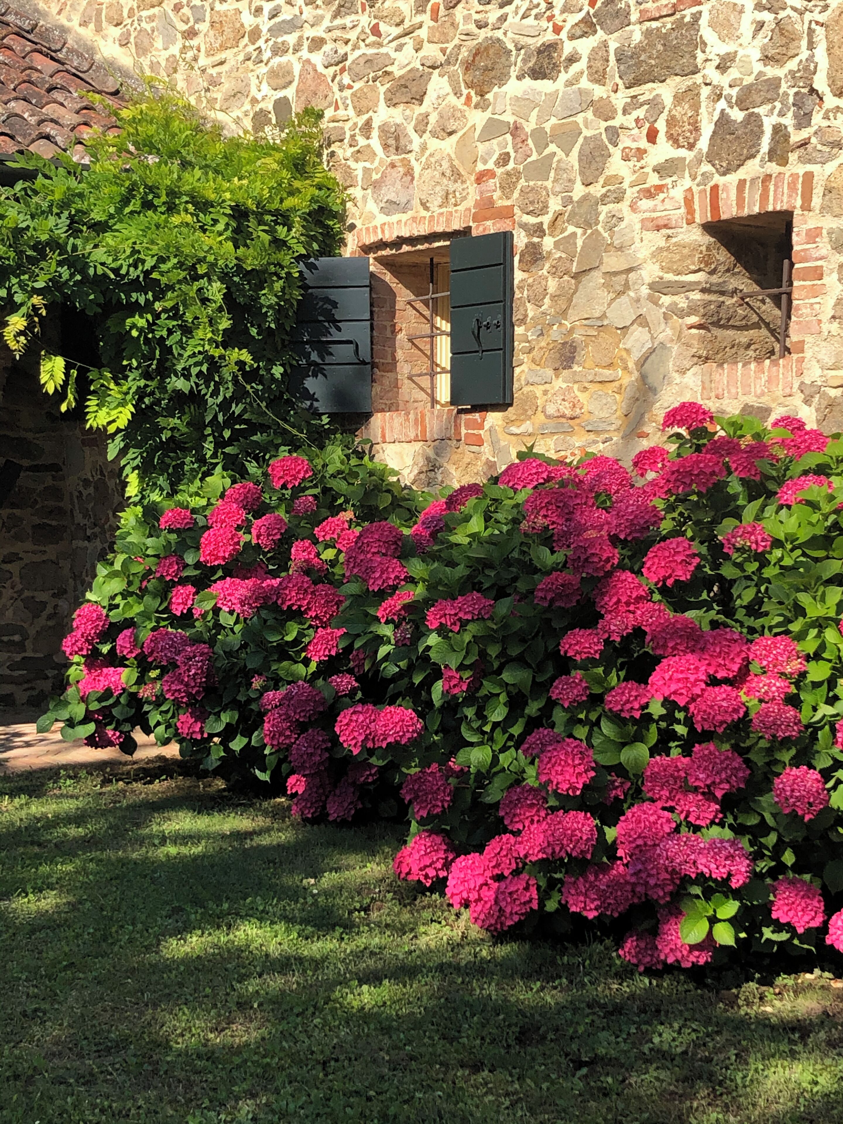 Ein Steinhaus mit Schornstein aus Ziegeln, üppiger grüner Vegetation und rosa Blüten.