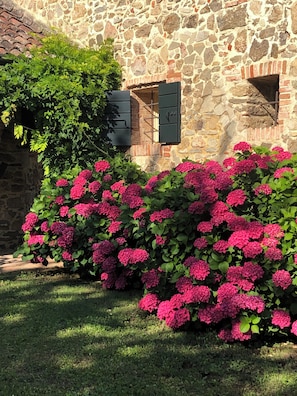 Een stenen gebouw met een bakstenen schoorsteen, groene begroeiing en roze bloemen.