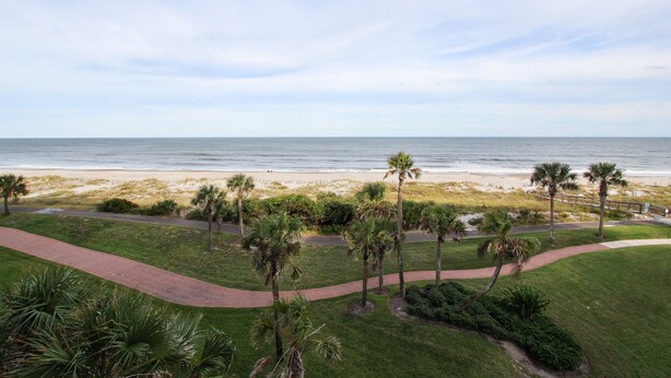 A coastal landscape with a paved walkway, palm trees, and a beach in the background.