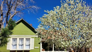 A green house with a porch, a tree with white blossoms, and a clear blue sky.