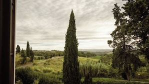 Vista de un paisaje verde exuberante con un camino serpenteante, altos cipreses y follaje denso.