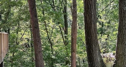 Mississippi River Getaway Spirit Mound, now with high speed internet!