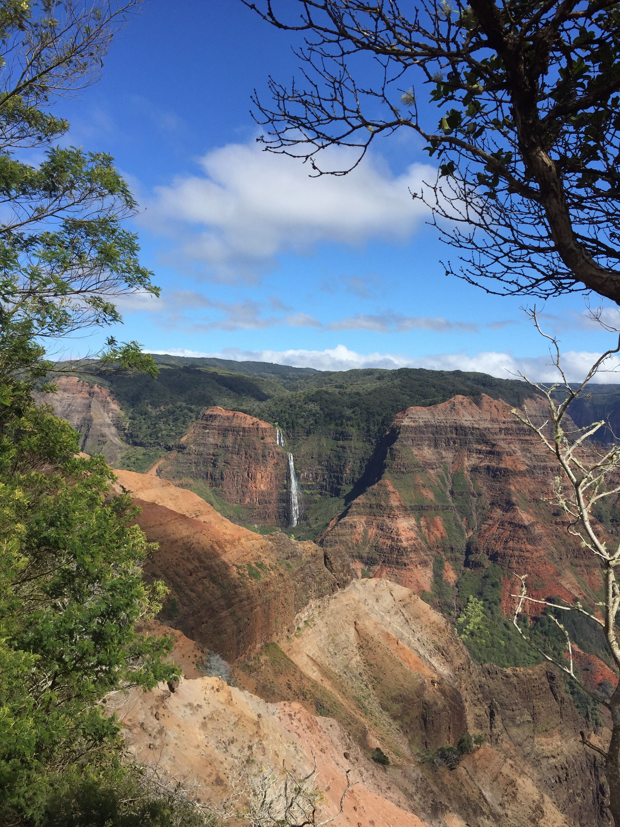 A canyon with a waterfall, surrounded by green foliage and rocky terrain.