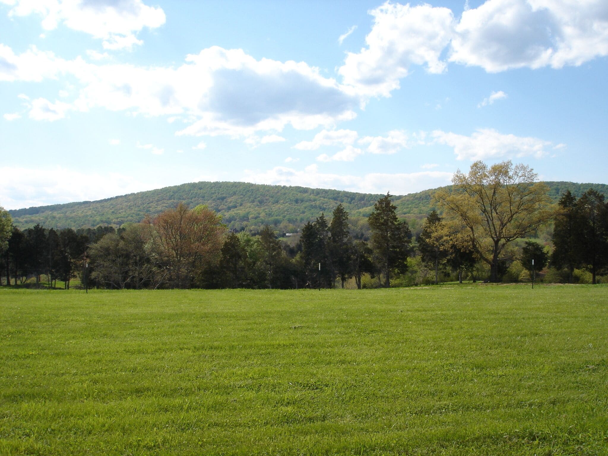 A grassy field with trees and a hill in the background.