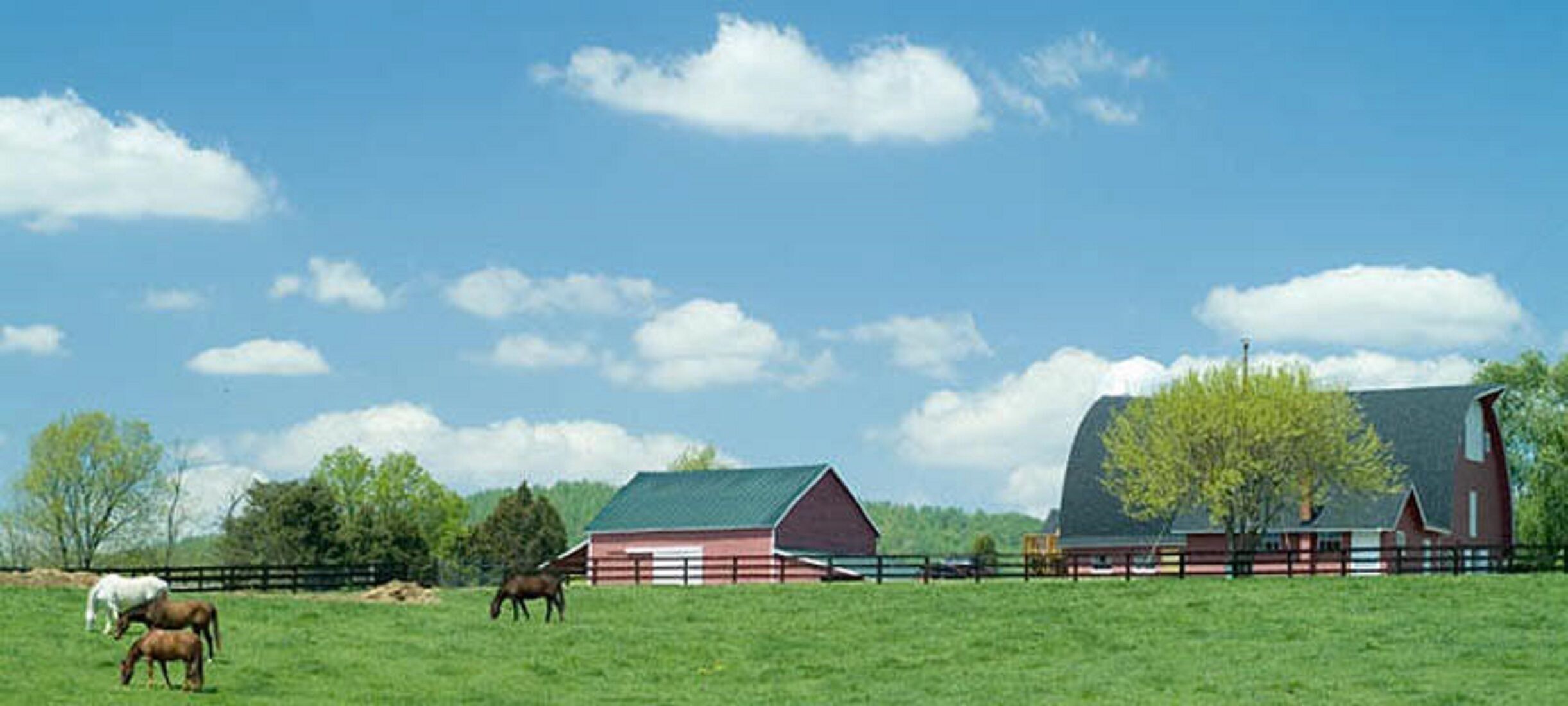 Een landelijk landschap met een rode schuur, een groen veld en enkele paarden die grazen.