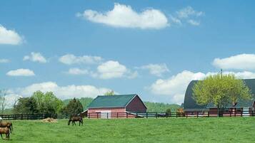 Een landelijk landschap met een rode schuur, een groen veld en enkele paarden die grazen.