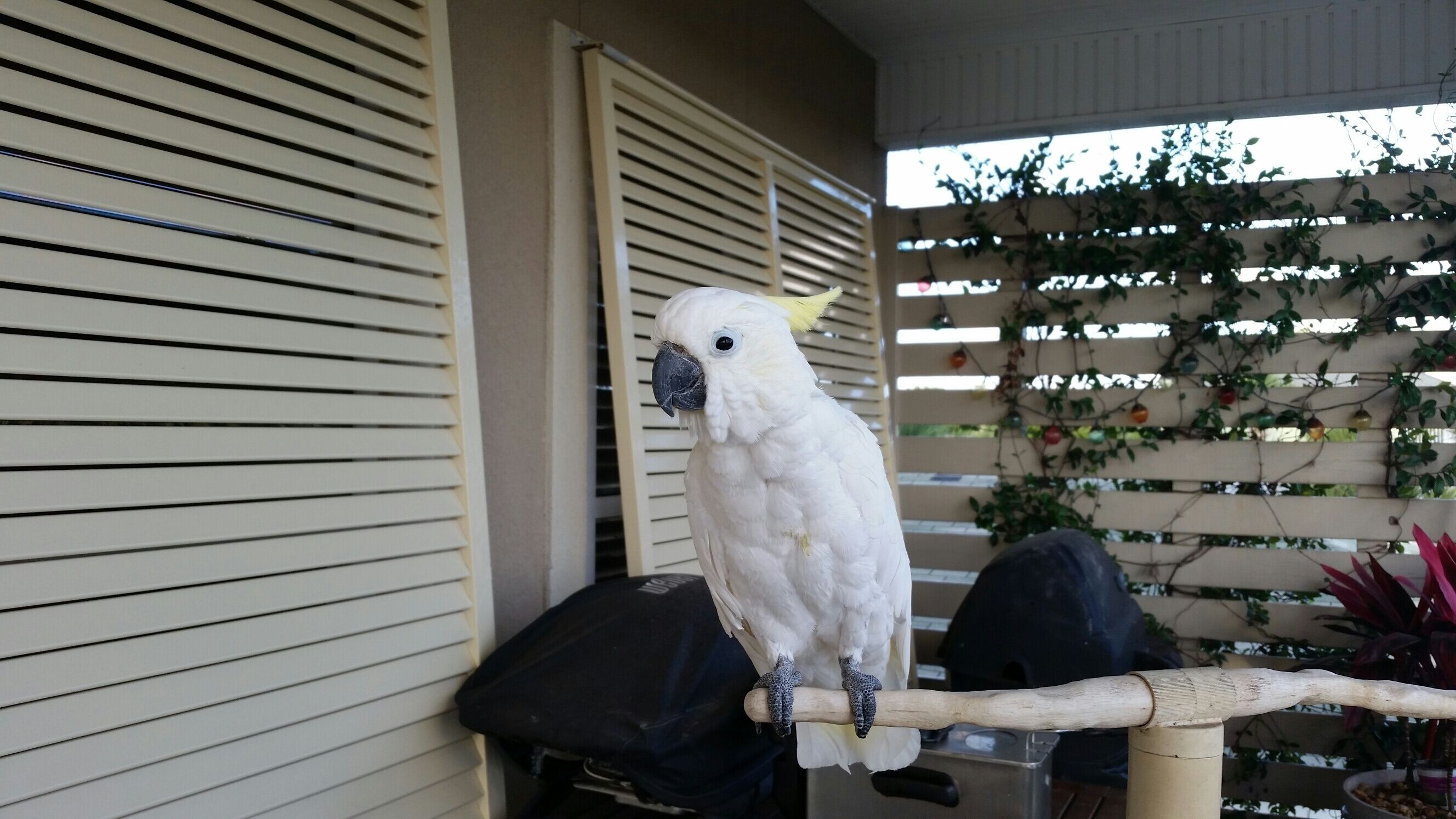 Charming 1 bedroom duplex located on the beautiful West End.