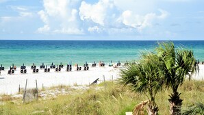 A beach with rows of sun loungers and a palm tree in the foreground.