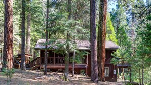 A cabin surrounded by tall trees, with a wooden deck and a covered porch. - (1S) Cecil's Cabin at The Redwoods In Yosemite (Wawona)