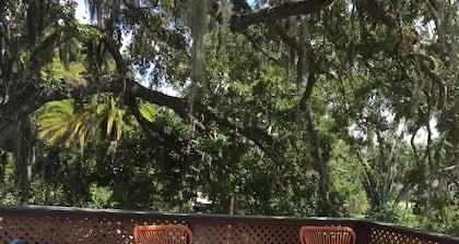 "Like a Tree House" Overlooking the Water