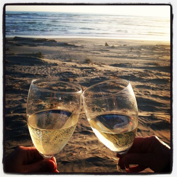 Two hands holding wine glasses with a beach and ocean in the background.
