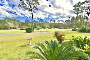 Terrain de l’hébergement 