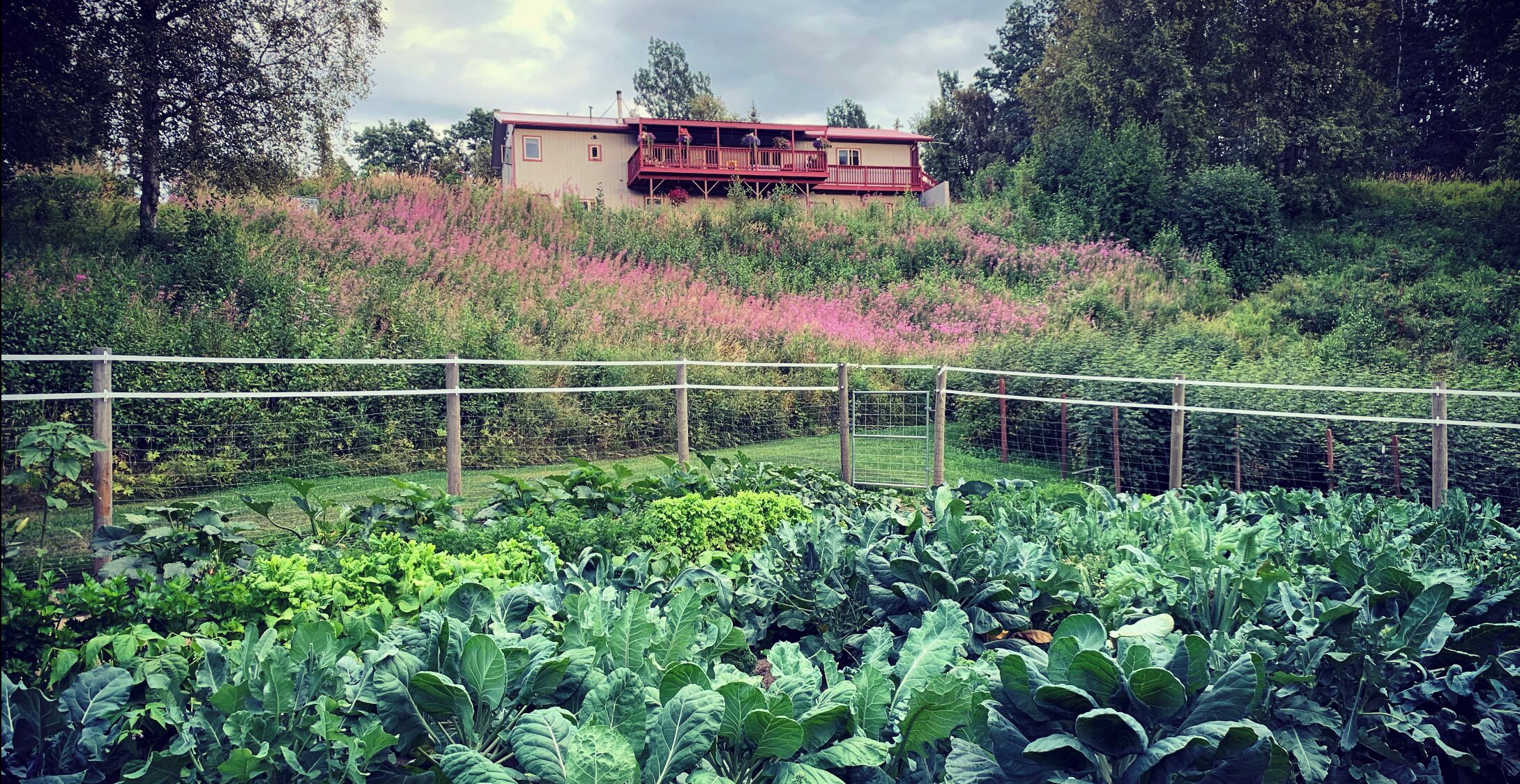 View of Lazy Mountain Hideaway from the vegetable garden