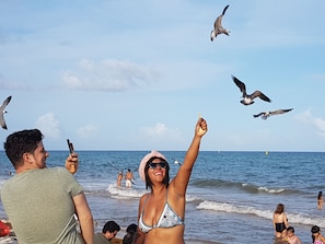 Sun-loungers, beach towels