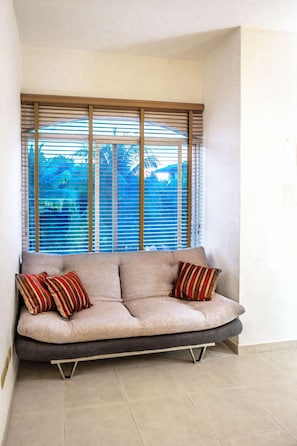 Smart TV, DVD player, books, video library