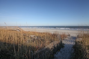 On the beach