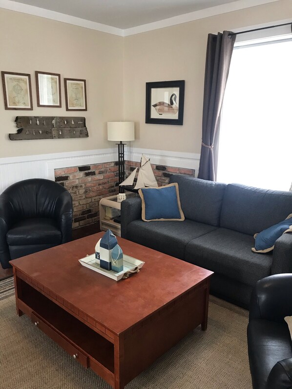 Smart TV, DVD player, books, video library