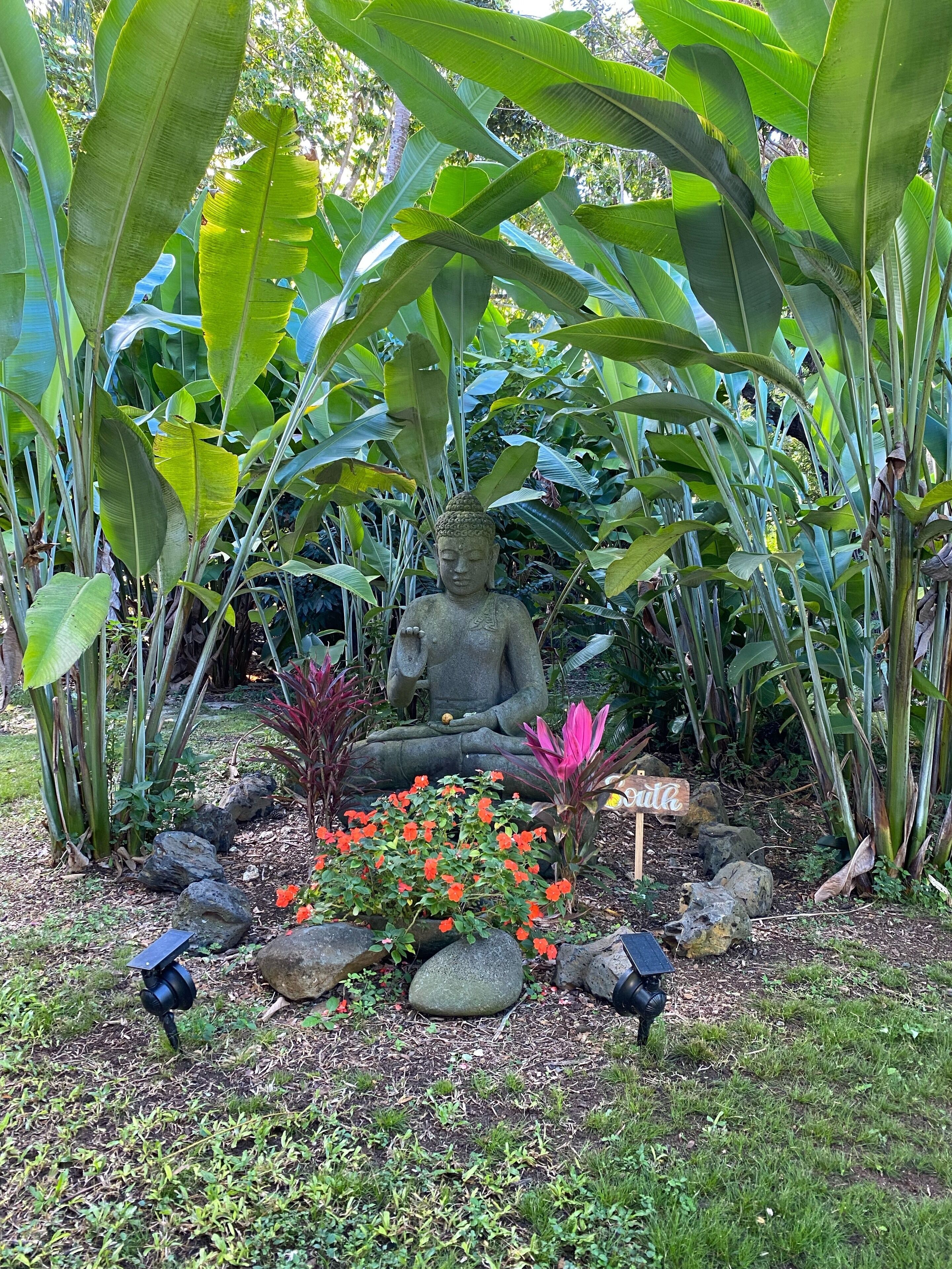 Un jardín con una estatua de Buda rodeada de plantas y flores tropicales.
