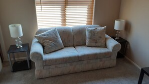 Smart TV, DVD player, books, stereo