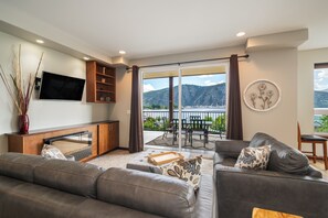 Smart TV, fireplace, video games, DVD player