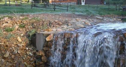 Large private lot. Beautiful cabin with a stream and trout pond!