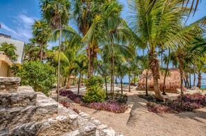 Property grounds - A truly amazing beachfront setting, 10 mins from Tulum! (Tulum)