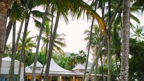 A resort with multiple white-roofed buildings, palm trees, and a well-maintained lawn. - Poolside Apt In Alamanda Beachfront Resort 55 (Palm Cove)
