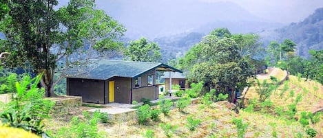 Chambre Double pour 1 personne | Draps fournis