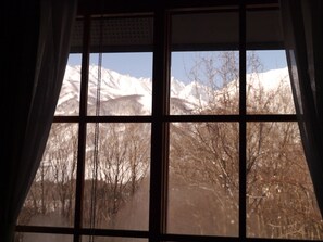 Una ventana con vista a montañas nevadas y árboles desprovistos de hojas.