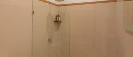 A modern bathroom with a glass-enclosed shower, a white sink, and a toilet.