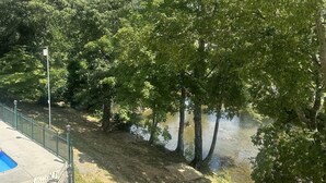 Un parc au bord de la rivière, doté d’une piscine et de chaises longues.