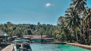 A clear blue pool with a wooden deck, surrounded by tropical vegetation and a small boat.