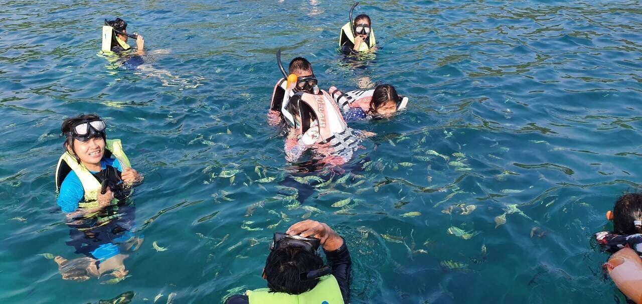A group of people snorkeling in clear blue water.