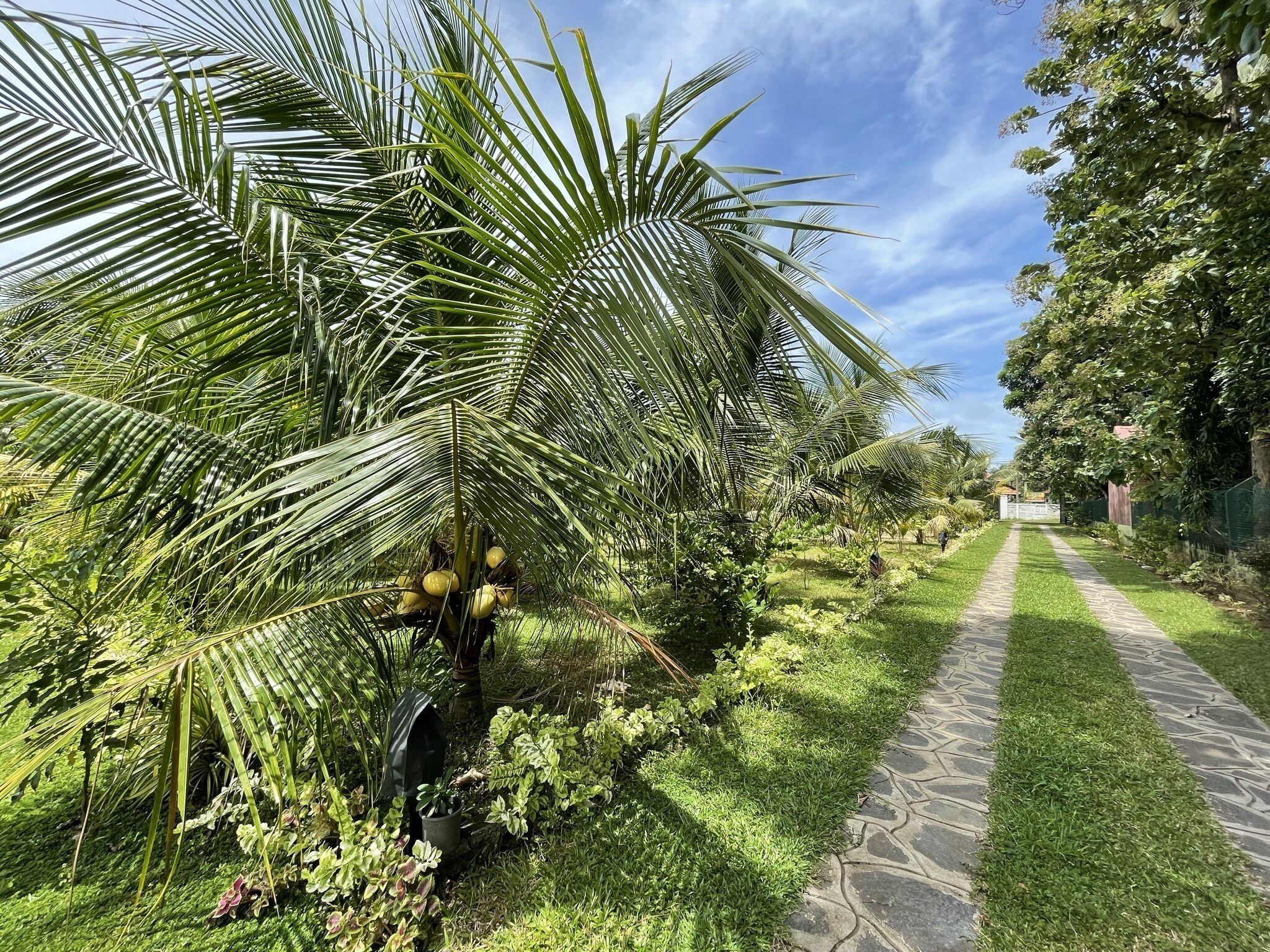 Terrein van de accommodatie