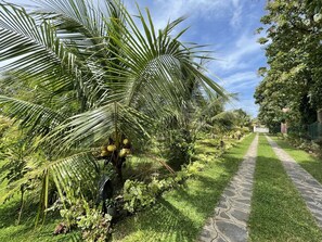 A pathway lined with lush greenery and palm trees, leading to a building with a sign. - Negombo Villa near Beach/Airport - Sleeps 10 (Dalupotha)