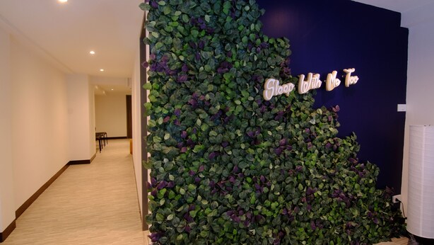 A hallway with a decorative wall featuring green and purple foliage, a sign that reads "Stop with Me Too," and a white wall with a dark panel on the right. - Sleep With Me Bangkok - BTS Phra Khanong (Bangkok)