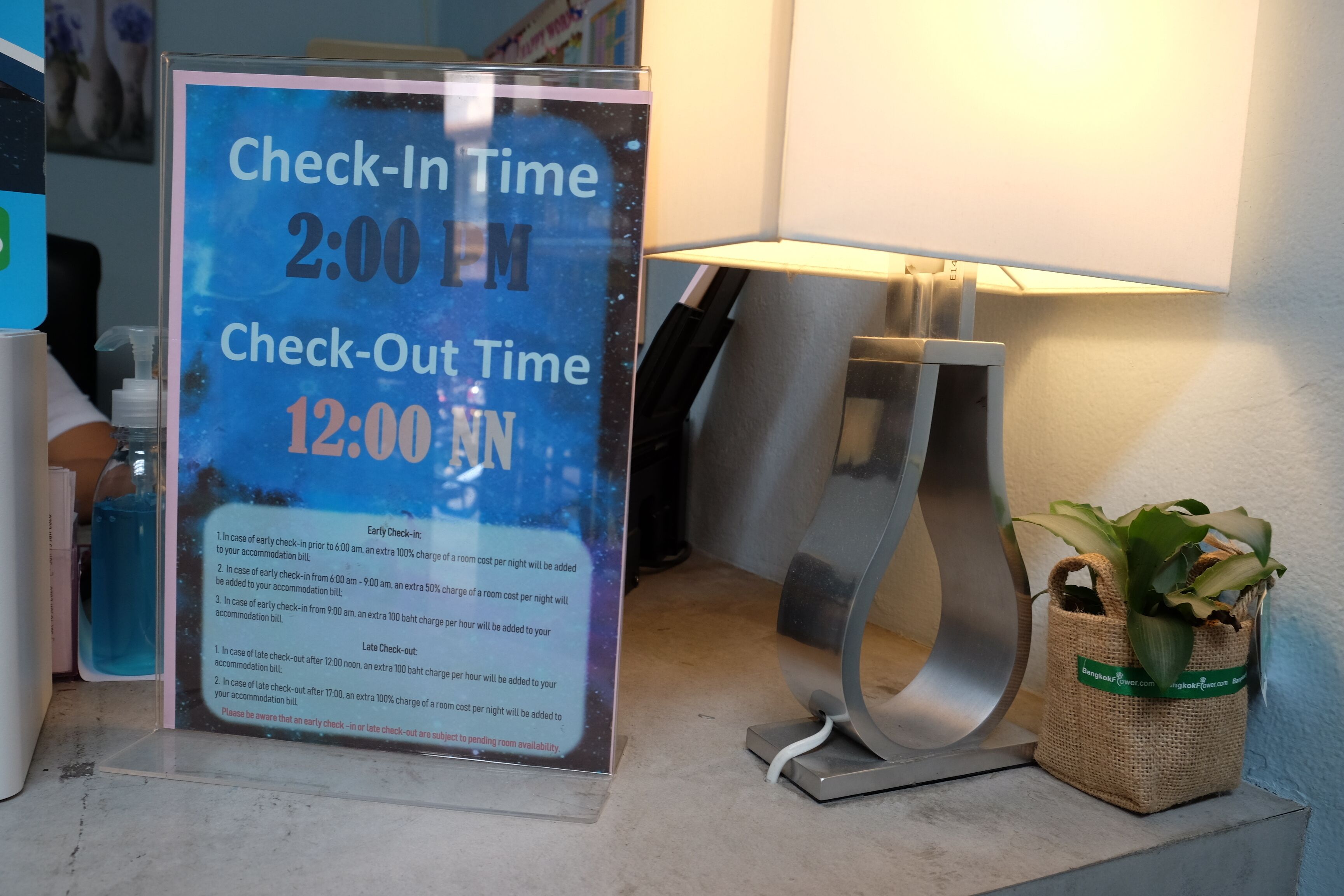 A sign with check-in and check-out times, a lamp, and a plant on a table.