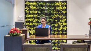A person seated at a desk with a laptop, surrounded by a wall of green plants.