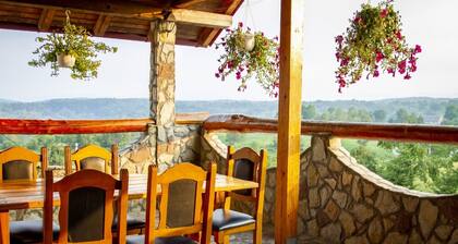 Apartment in Rakovica with Terrace, Air condition, WIFI (601-1)