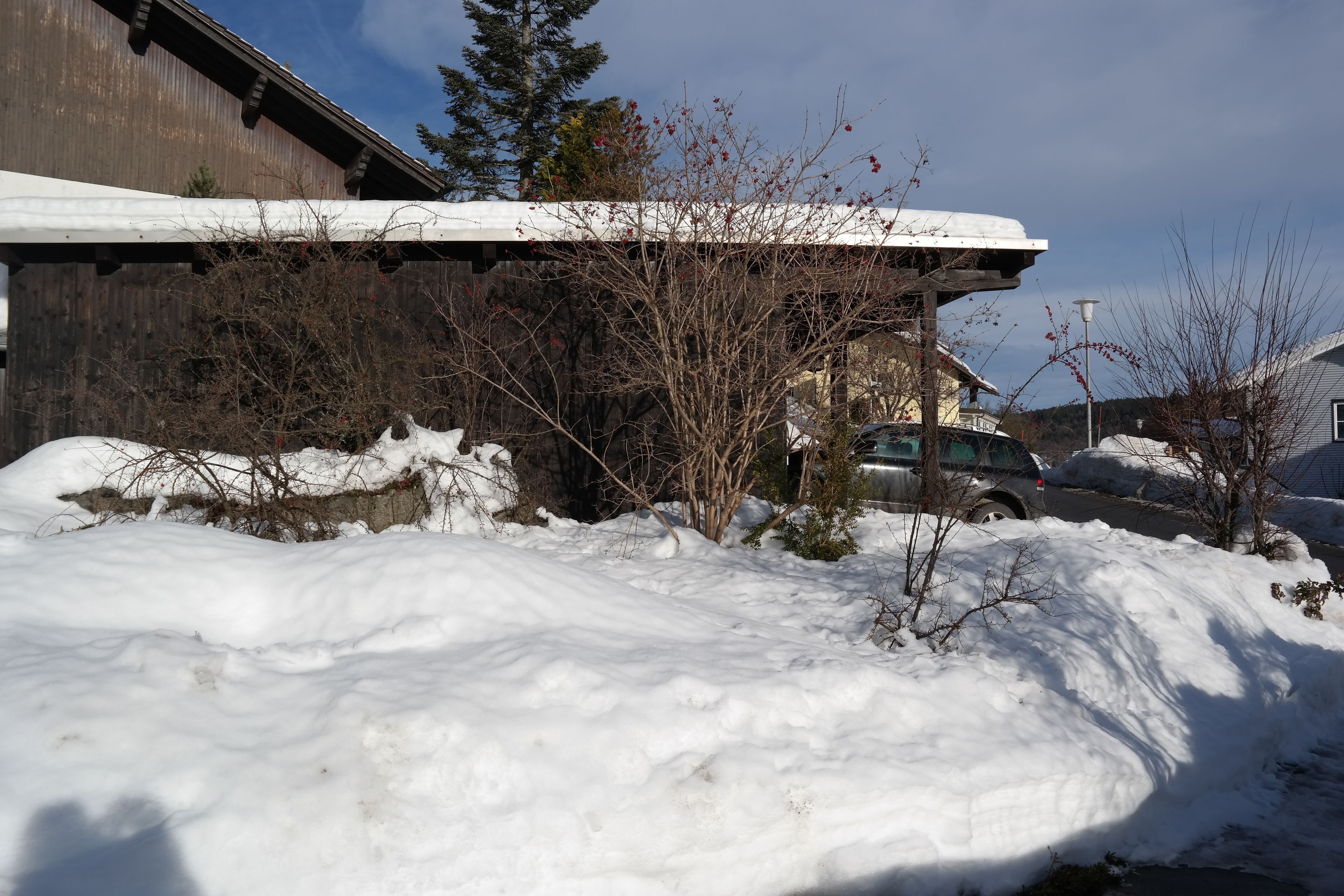 A snowy residential area with a house, parked cars, and bare trees.
